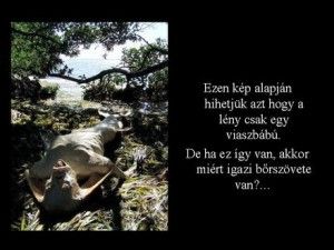 gp_dia2.jpg gp_dia2.jpg