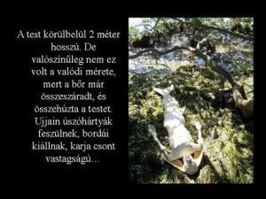 gp_dia3.jpg gp_dia3.jpg