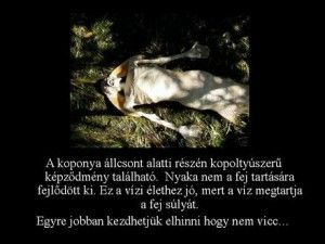 gp_dia5.jpg gp_dia5.jpg